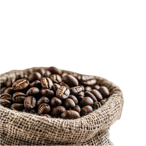 Finding the Right Coffee Bean Supplier Near You (for Wholesale Buyers)