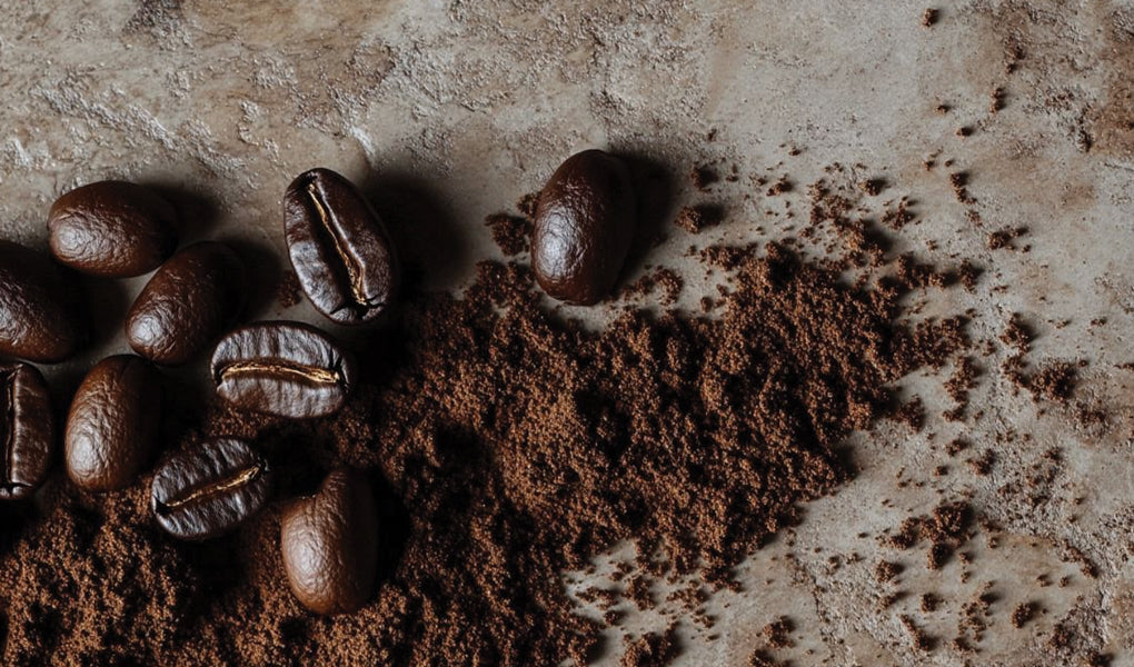 yemeni coffee wholesale